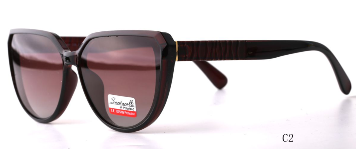 Очки Santarelli ST2401 C2