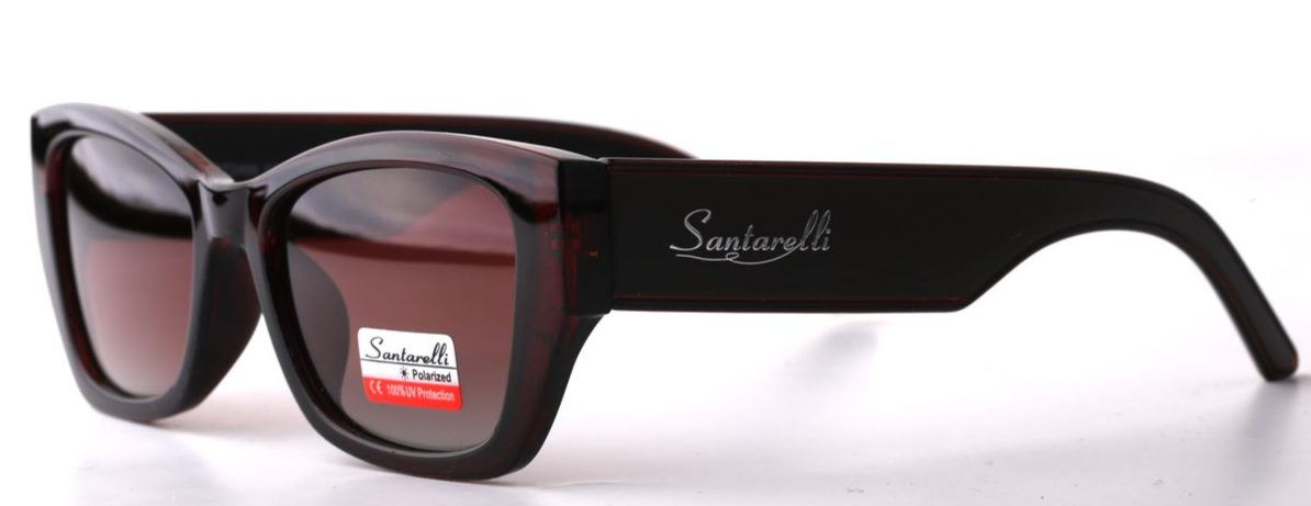 Очки Santarelli ST2499 C2