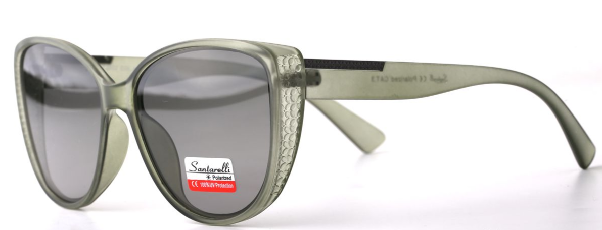 Очки Santarelli ST2502 C4