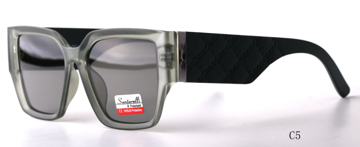 Очки Santarelli ST2449 C5