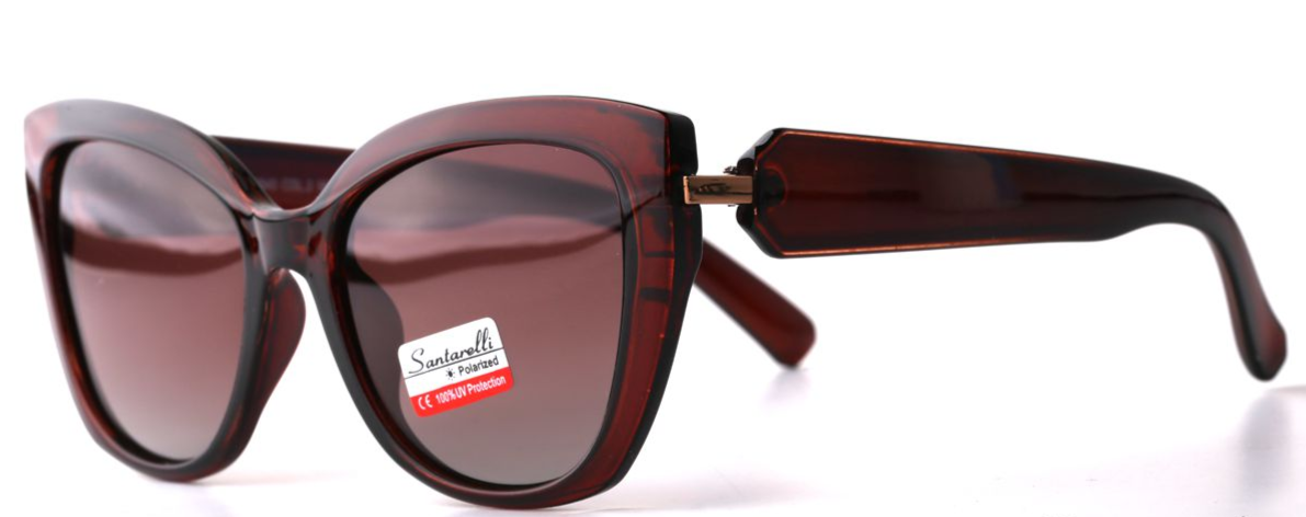 Очки Santarelli ST2540 C2
