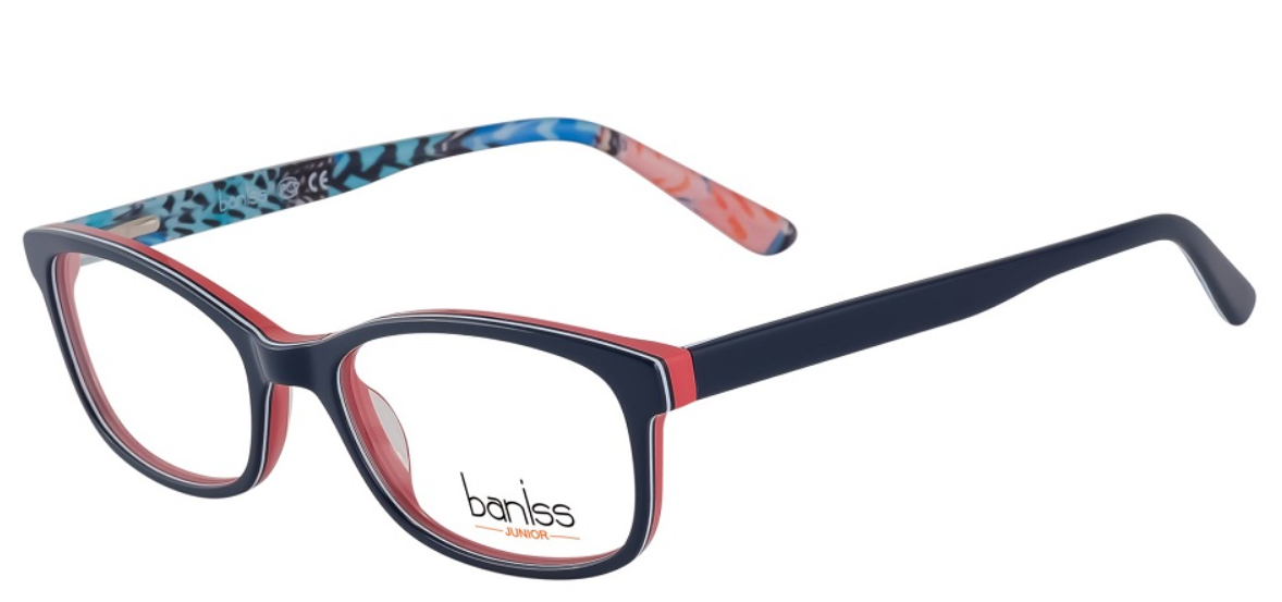 Оправа baniss BS 5058 c.02