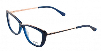 Оправа TED BAKER Ari 9183 608