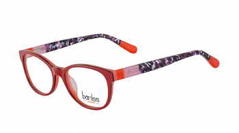 Оправа baniss BS 5065 c.02
