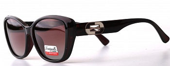 Очки Santarelli ST2359 C2