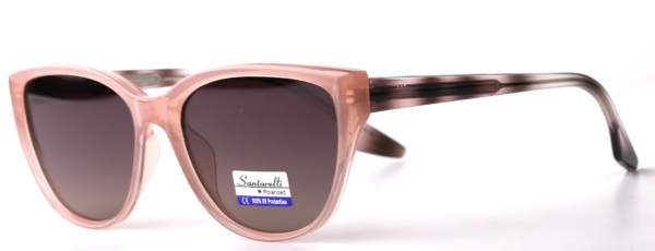 Очки Santarelli RN8001 C2