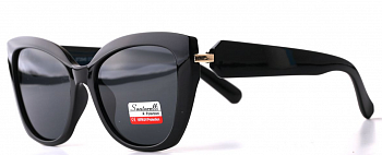 Очки Santarelli ST2540 C3