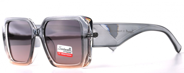 Очки Santarelli ST2535 C4