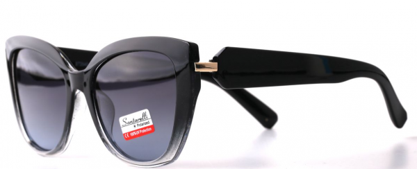 Очки Santarelli ST2540 C5