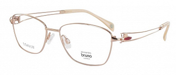 Оправа Alessandro Bruno TITANIUM 1194 01R