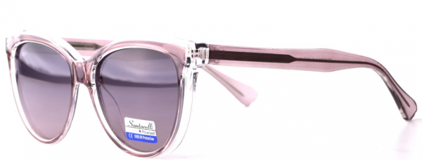 Очки Santarelli RN8020 C3