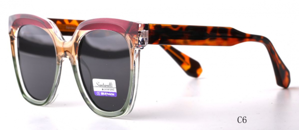 Очки Santarelli RN5001 C6