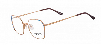 Оправа baniss BR 7021 c.03