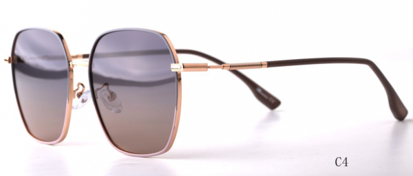 Очки Santarelli ST2398 C4