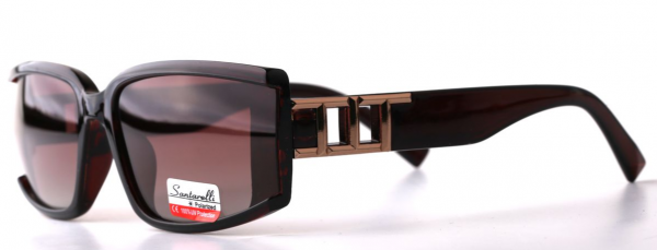 Очки Santarelli ST2423 C2